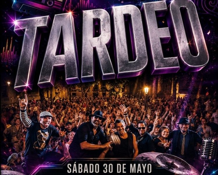 Cartel del concierto de Sr. Lemur en Indara Pamplona con estética festivalera, público y ambiente de tardeo musical.